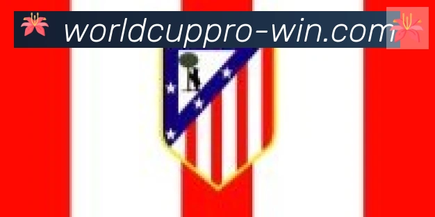 2026世界杯投注入口合作伙伴